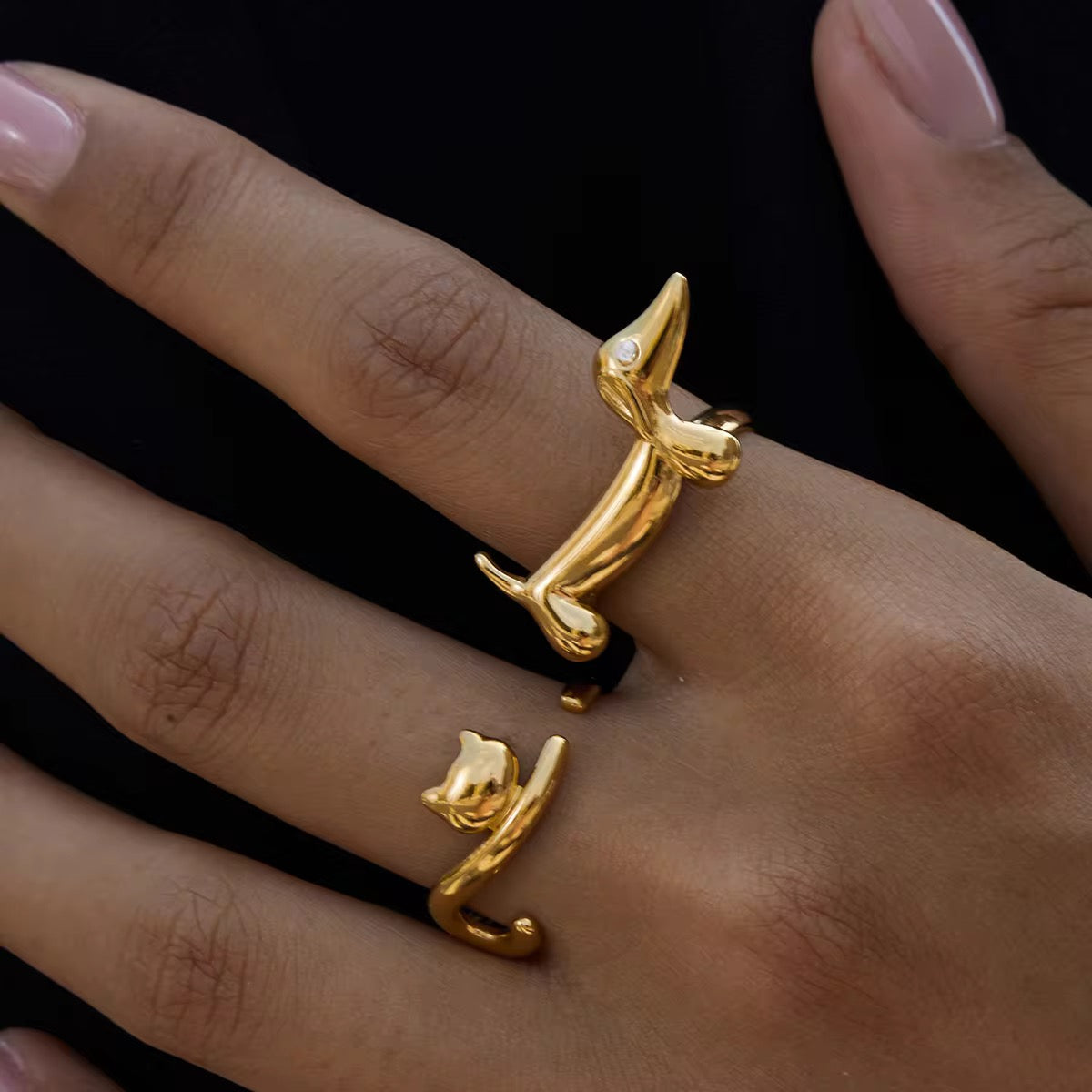 Dio Ring :- The adjustable 18k pvd plated ring