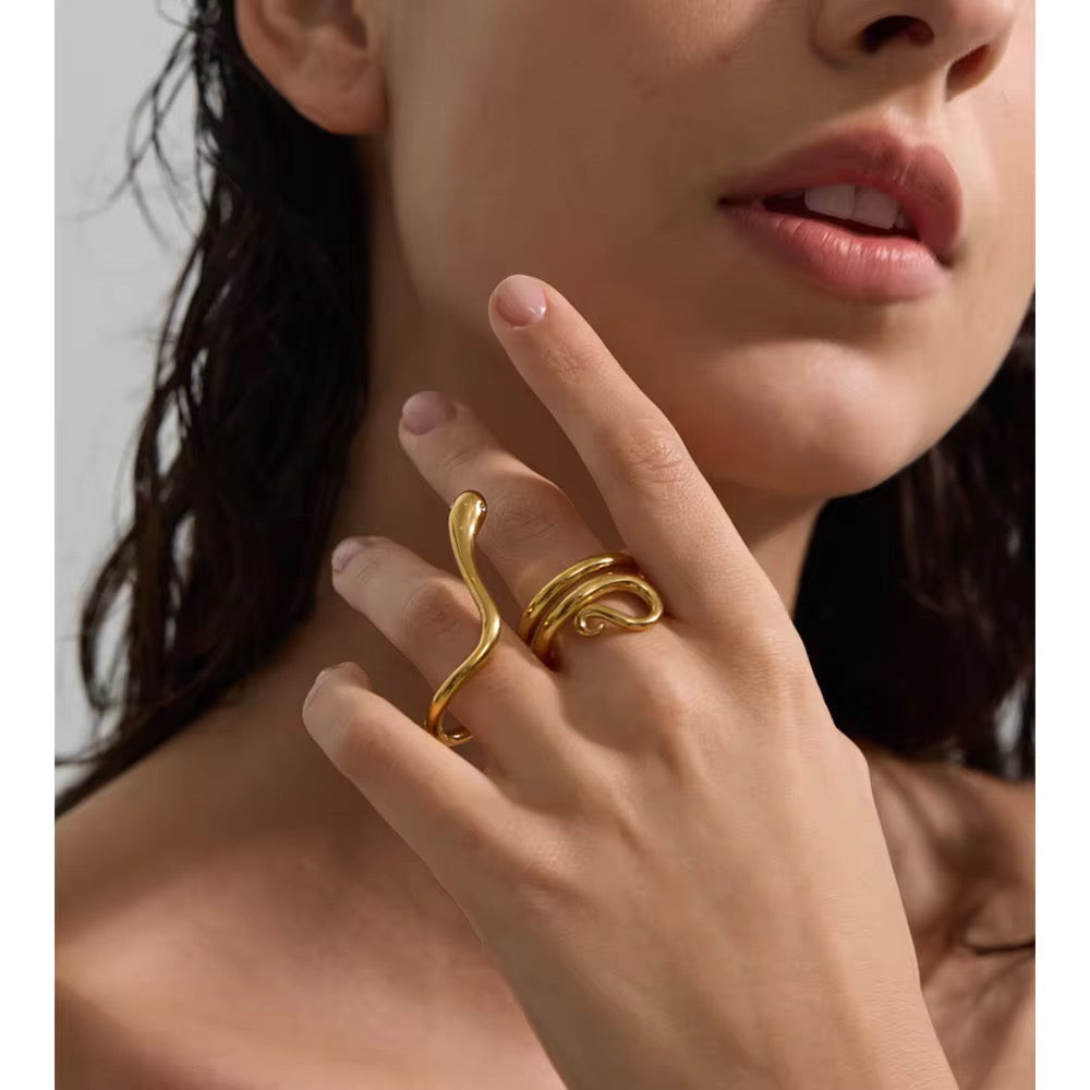 Snake ring :  18k PVD plated Double finger ring